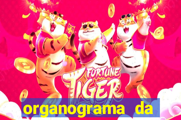 organograma da cacau show